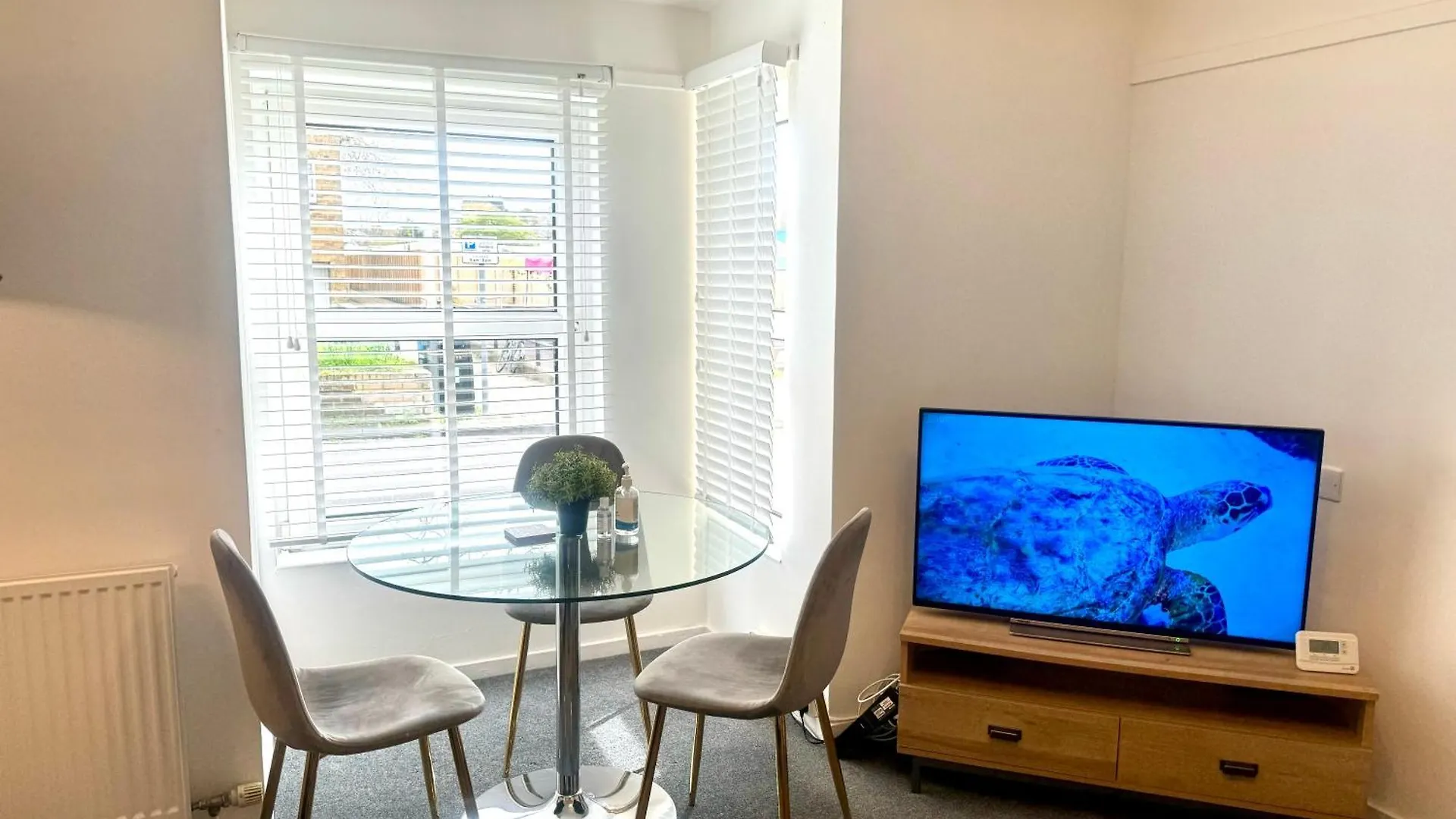 Lime Tree Apartment Cambridge